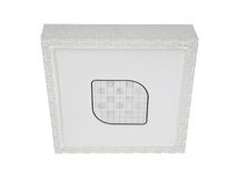 ݻϵ-LEDƽ    40W  ׹/˫ɫ