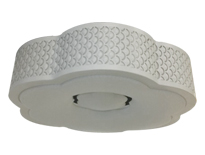 ݻϵ-LEDƽ    21W  ׹